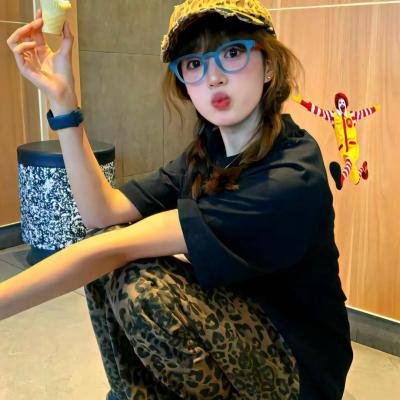 如果历史是一群喵宋辽金夏篇