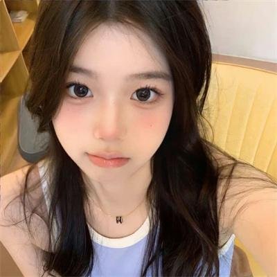 企鹅之岛：福克兰